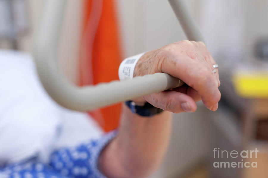 Hospital Bed Handle Photograph by Arno Massee/science Photo Library