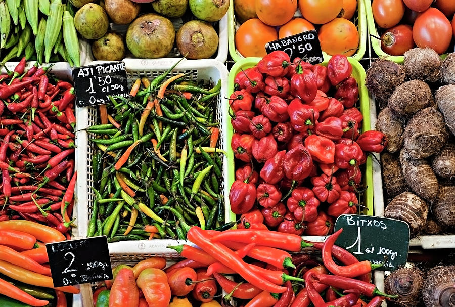 Hot & Colorful Chilly Peppers Photograph by Tracy Packer Photography