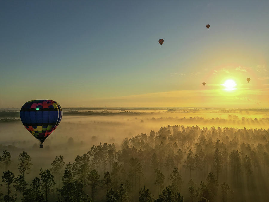Hot Air Balloon 2 Photograph by Stefan Mazzola