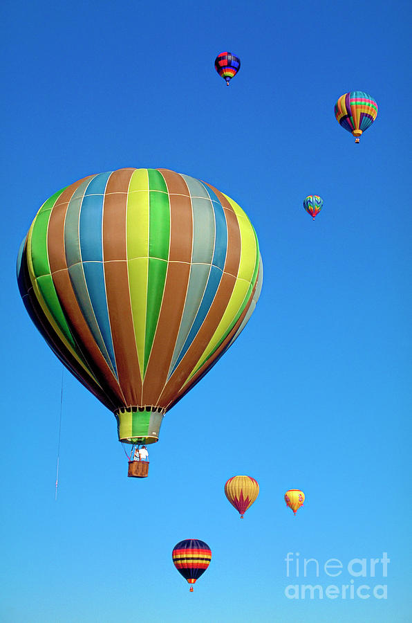 Hot Air Balloons Albuquerque Vertical Photograph