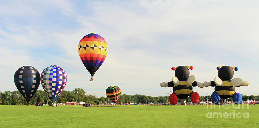 Hot Air Balloons in Findlay 6391 Photograph by Jack Schultz