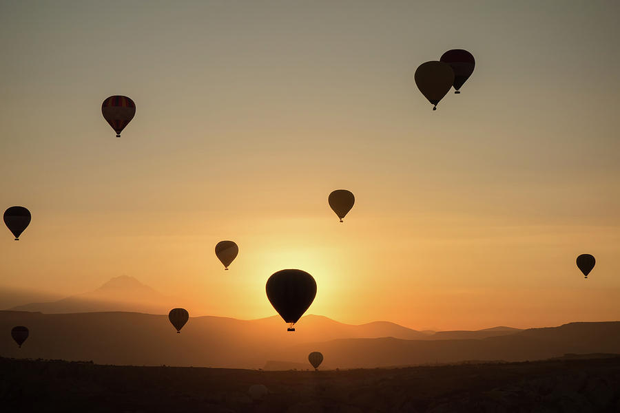 hot air balloons at sunrise