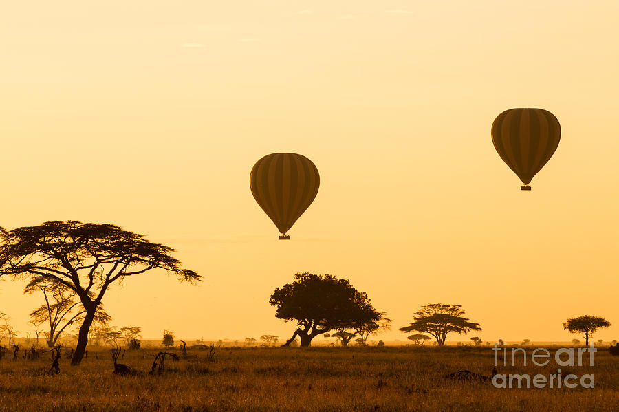 Tanzania Photograph - Hot Air Balloons Over The Serengeti by Jez Bennett Tanzania Photograph - Hot Air Balloons Over The Serengeti by Jez Bennett