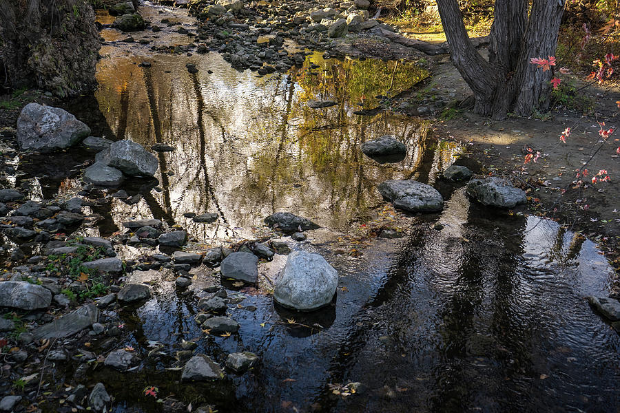 Hot and Cold - Autumn Stream Silken Reflections Photograph by Georgia Mizuleva