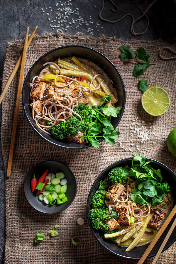 Hot And Sour Coconut Broth With Noodles, Vegetables And Tofu Pieces Photograph by Magdalena Hendey