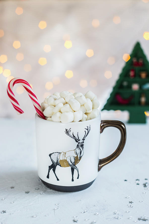 Hot Chocolate With Marshmellows And Candy Canes Photograph by Maricruz Avalos Flores
