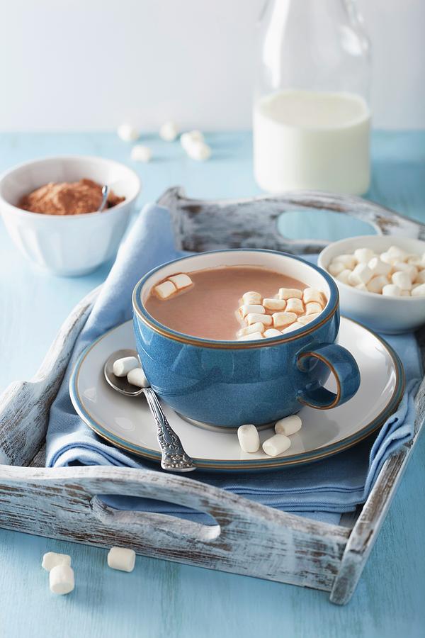 Hot Chocolate With Mini Marshmallows Photograph by Olga Miltsova