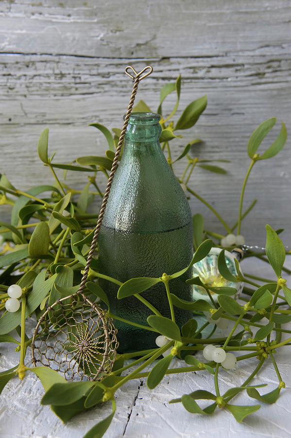 Hot Damson Water In A Green Bottle Surrounded By Mistletoe And A Vintage Sieve Photograph by Martina Schindler