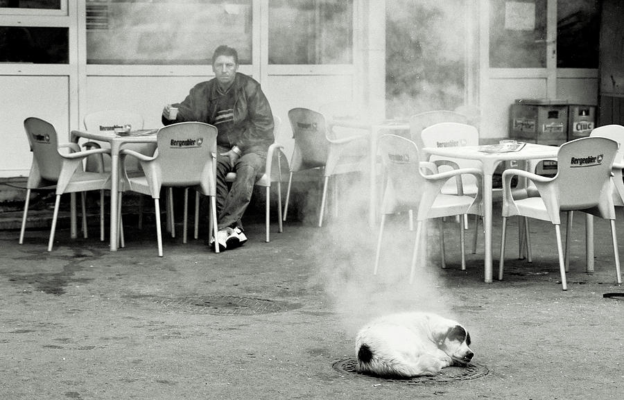 Black And White Photograph - Hot Dog by Vlad Eftenie