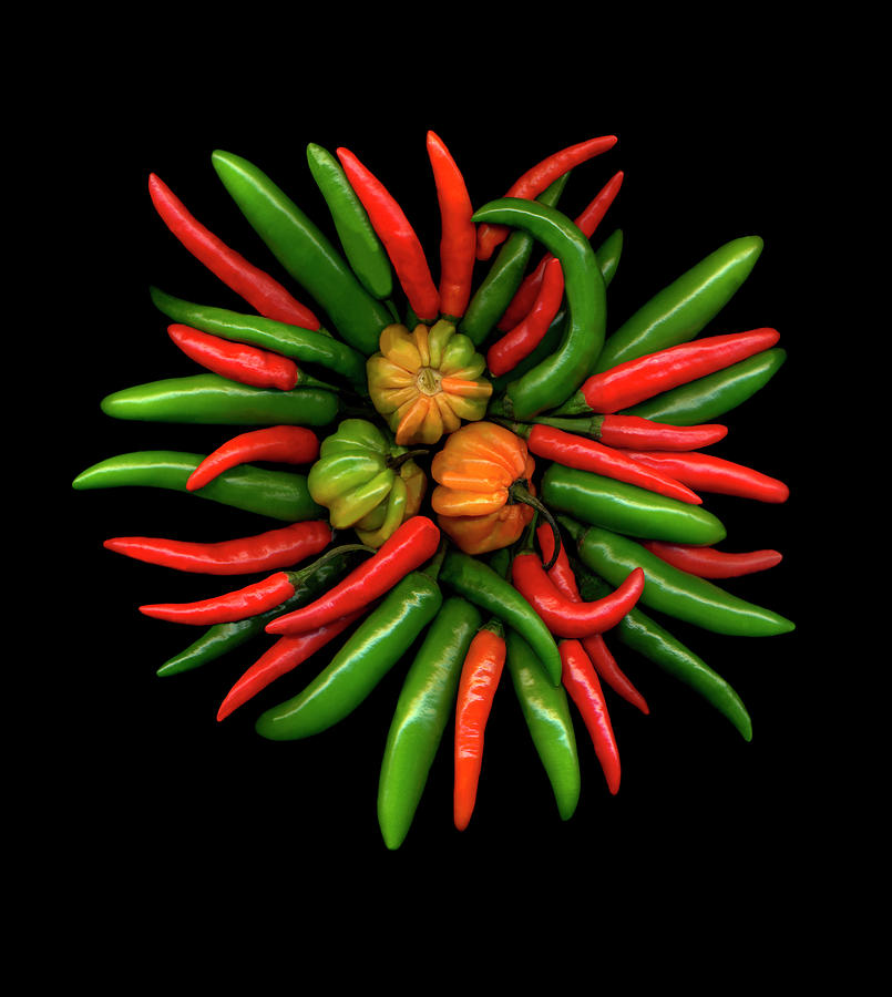 Peppers Painting - Hot Peppers #1 by Susan S. Barmon