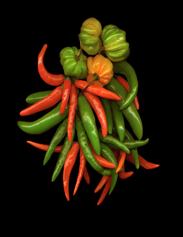 Peppers Painting - Hot Peppers #3 by Susan S. Barmon