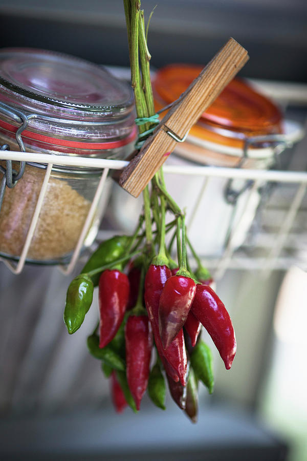 Hot Peppers Hanging On A Spice Board Photograph by Eising Studio