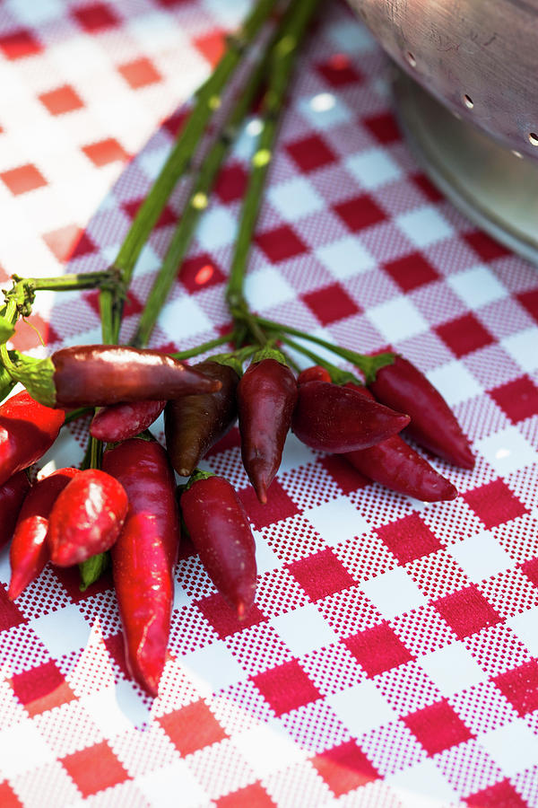 Hot Peppers On A Checked Tablecloth Photograph by Eising Studio