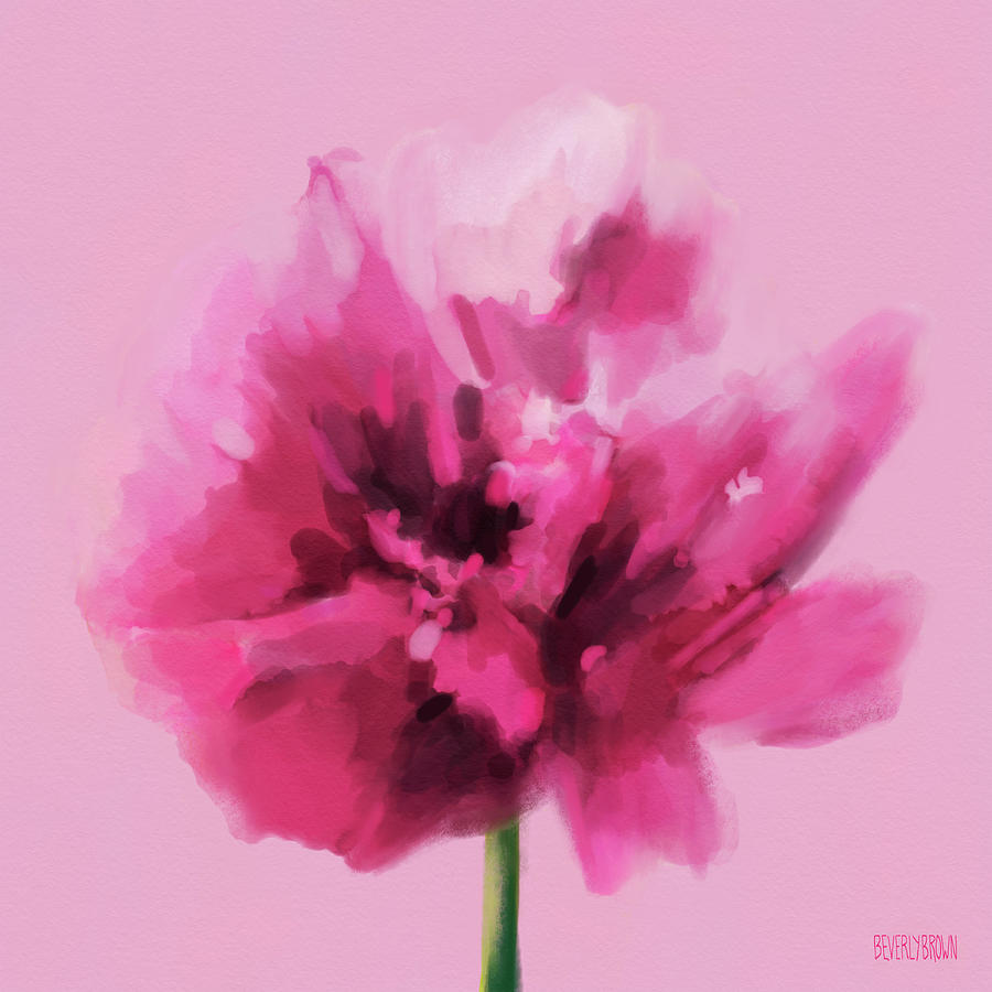 Hot Pink Carnation Painting by Beverly Brown