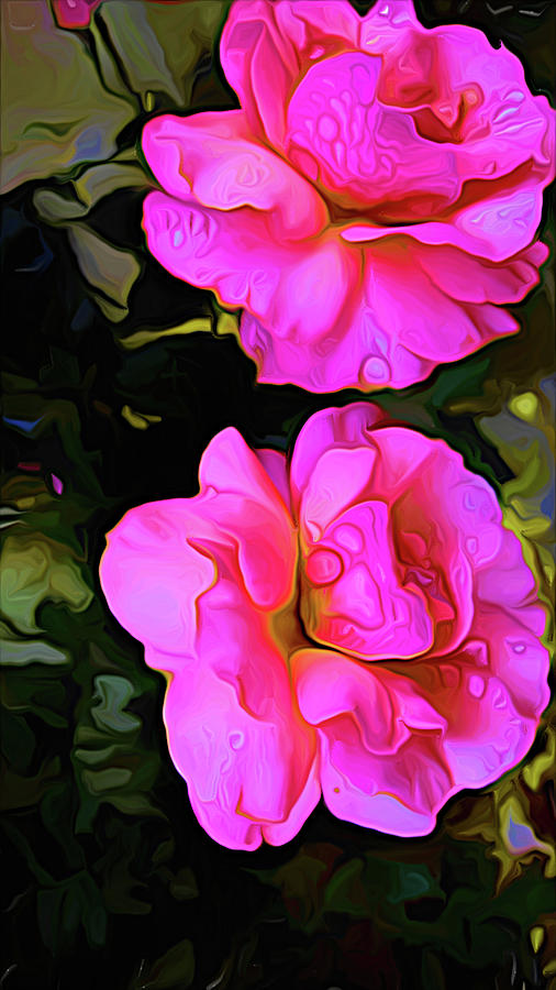 Hot Pink Roses  Digital Art by Cathy Anderson