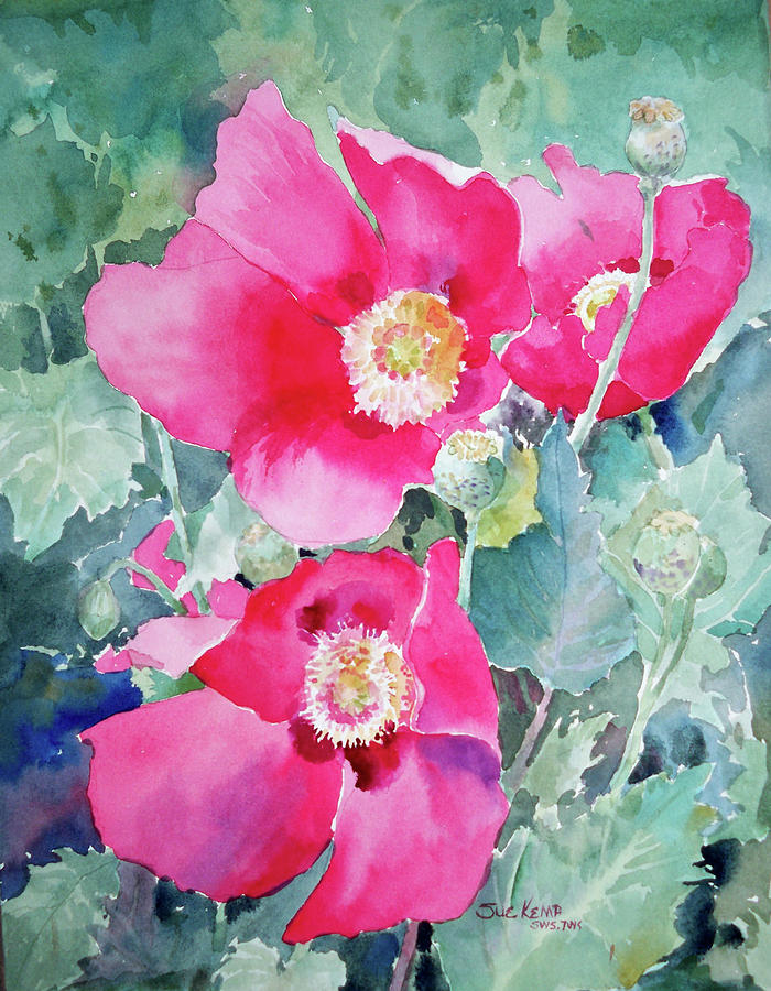 Hot Poppies Painting by Sue Kemp