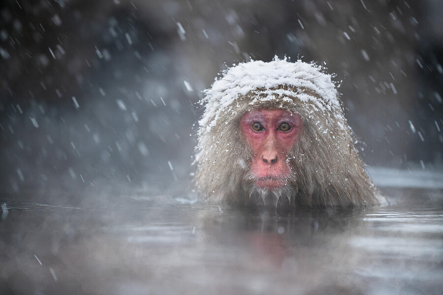 Hot Spring Bath Photograph by Chao Feng ??