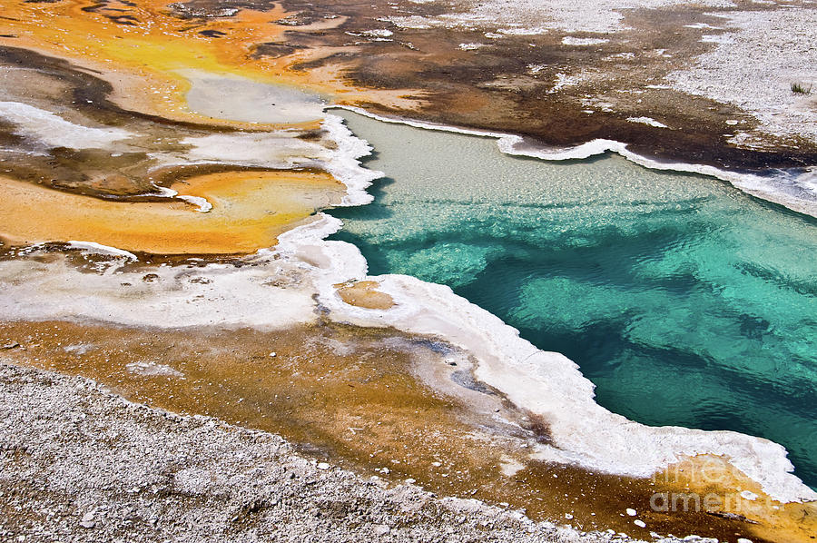 Hot spring, upper geyser basin, Yellowstone National Park Photograph by Delphimages Photo Creations