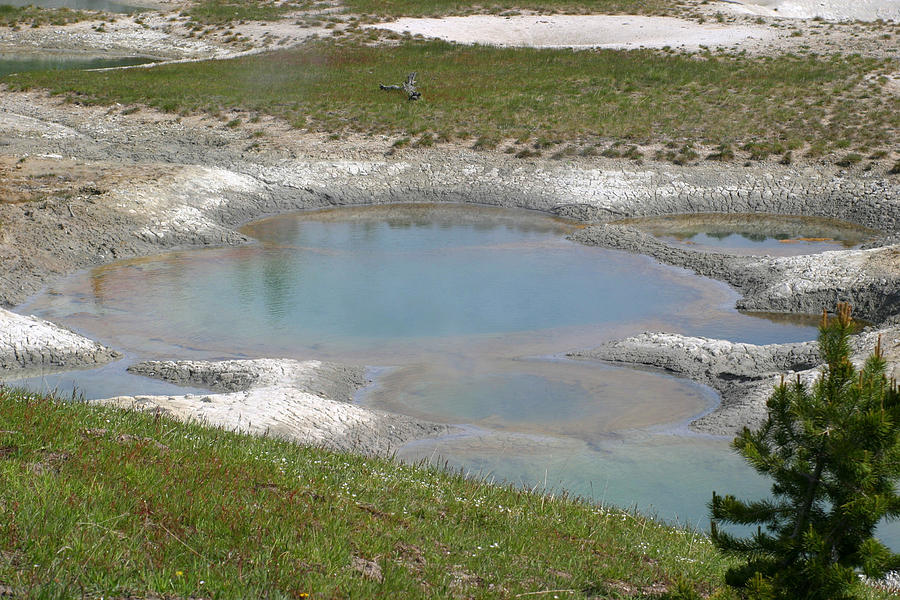 Hot Spring in Yellowstone Photograph by Living Color Photography Lorraine Lynch