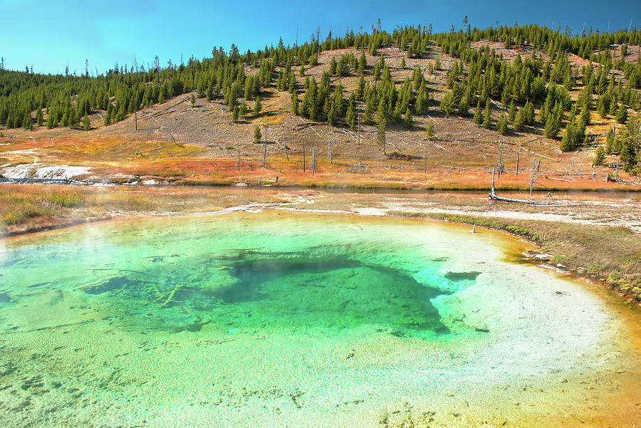 Hot Spring, Yellowstone Np, Wy Digital Art by Heeb Photos