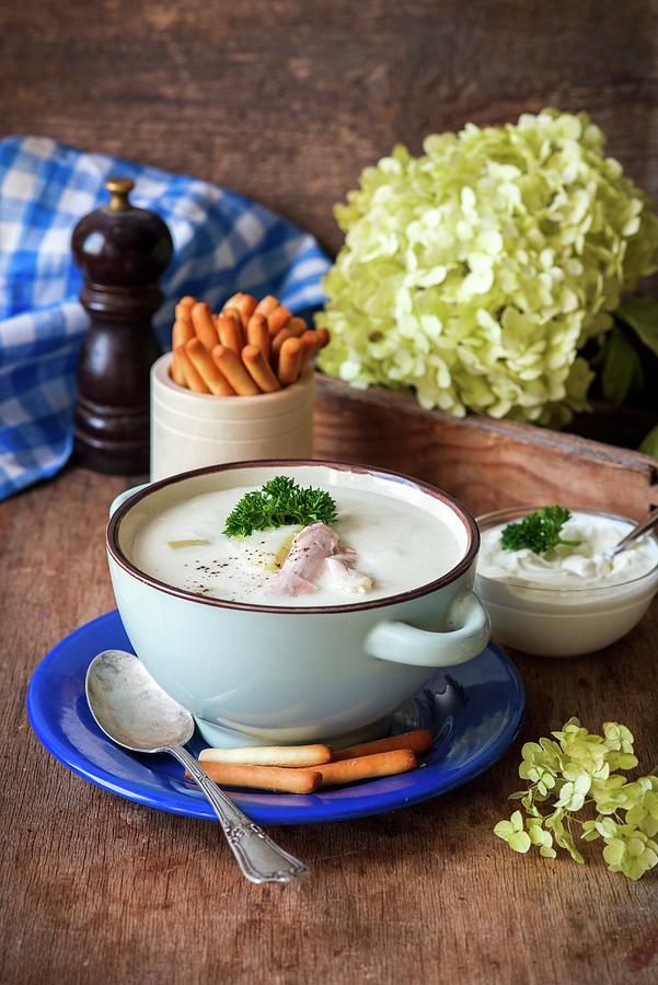 Hot Thick Soup From Chicken And Potatoes Photograph by Irina Meliukh