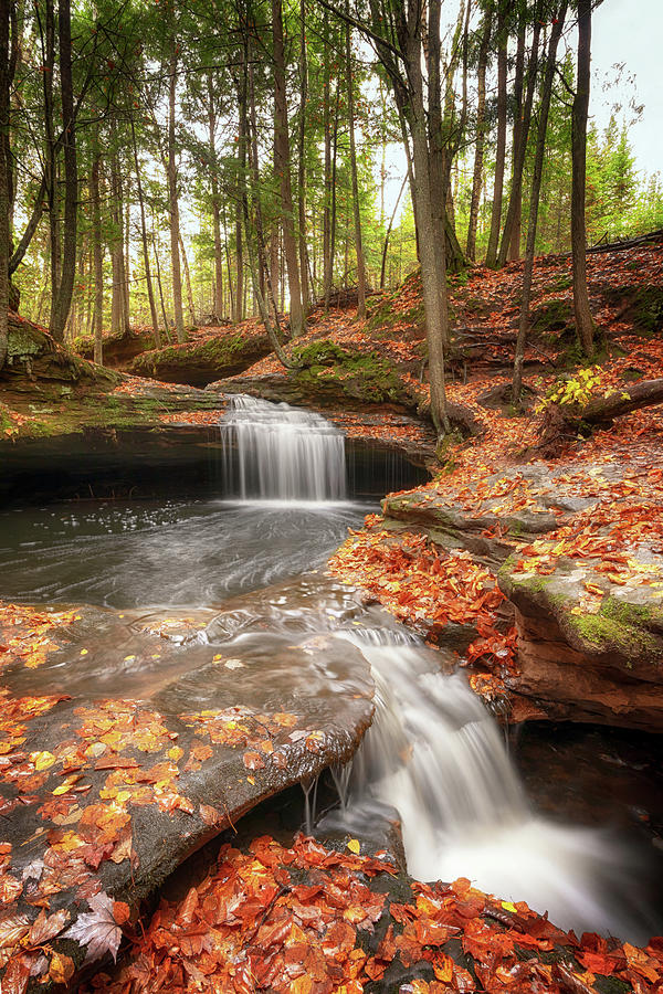 Houghton Falls Nature Preserve Photograph by Susan Rissi Tregoning