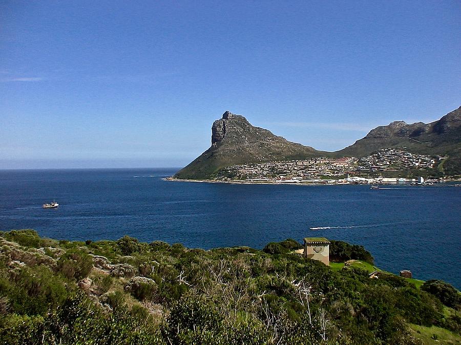 Lion's Head Photograph by George Shirley | Fine Art America