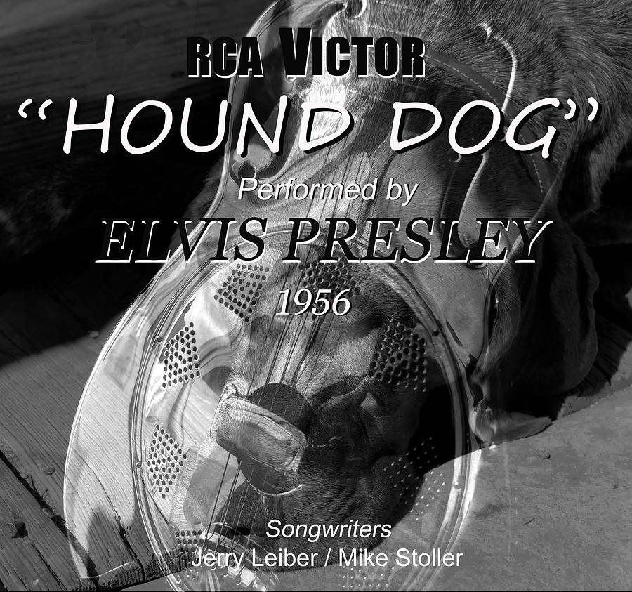 Elvis Presley Photograph - Hound Dog poster A by David Lee Thompson