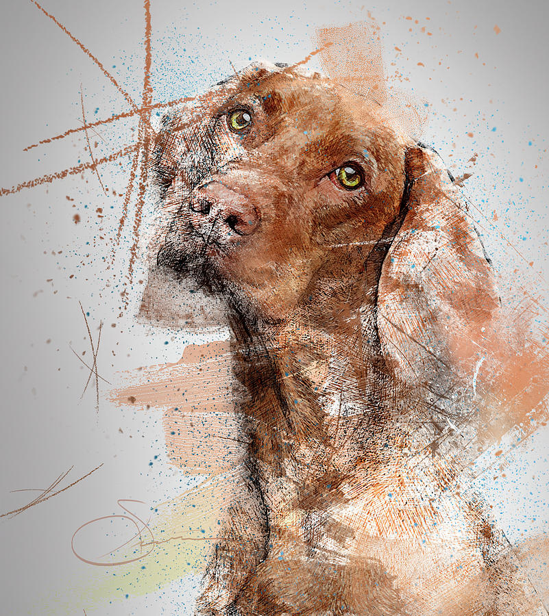 Hound Dog Digital Art by Rob Smiths