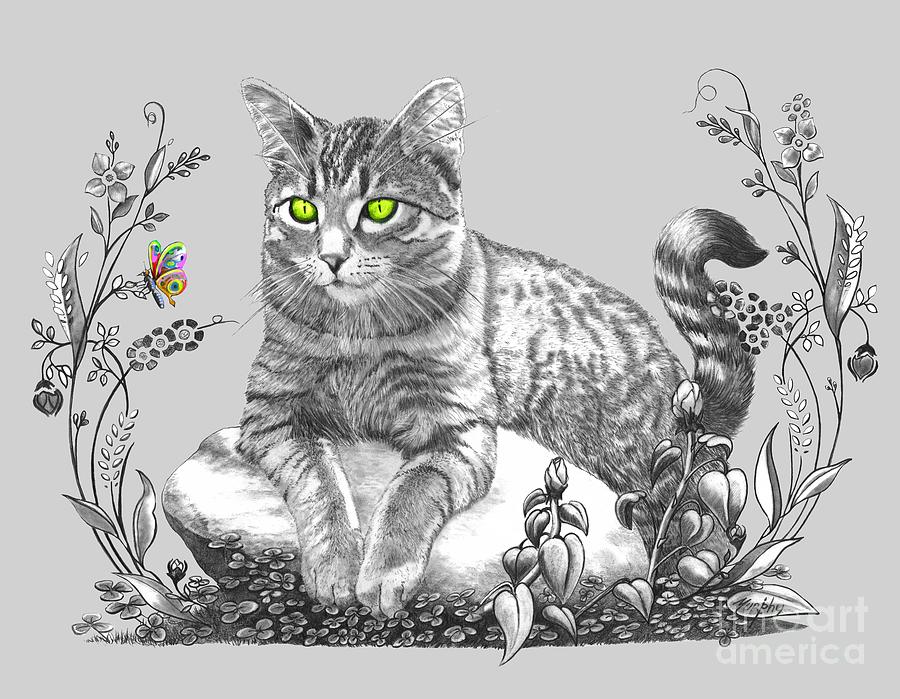 Cat Drawing - House Cat by Murphy Elliott