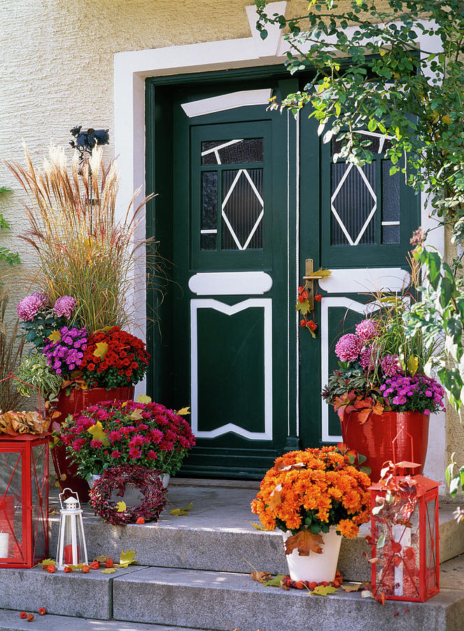 House Entrance With Chrysanthemum autumn Chrysanthemum Photograph by Friedrich Strauss