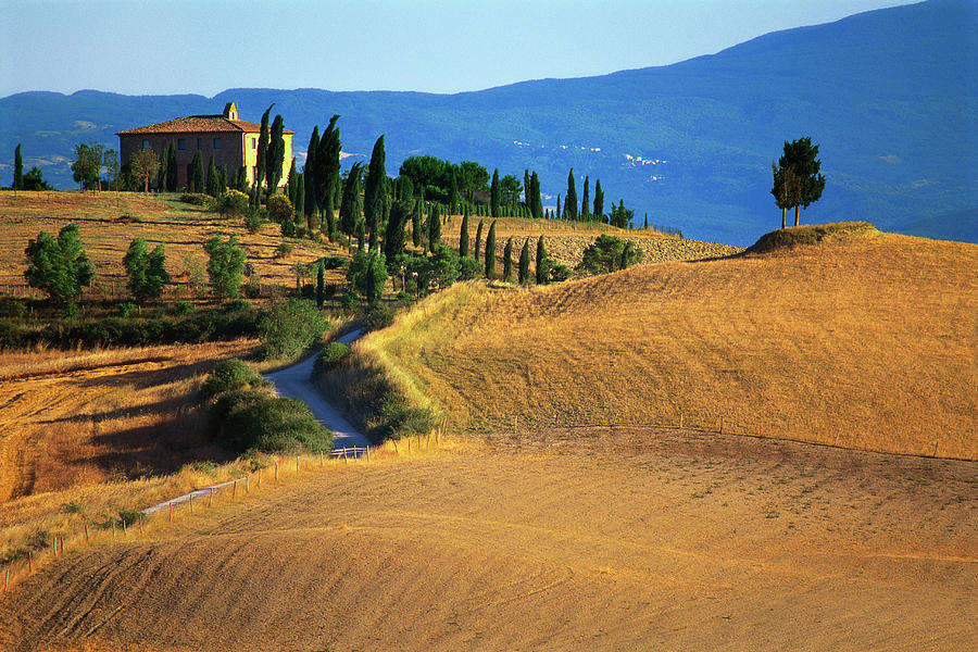 House In A Field In The Siena Photograph by Robertharding