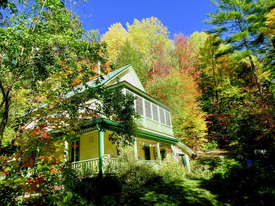 House in the Woods by Stephanie Moore House in the Woods by Stephanie Moore