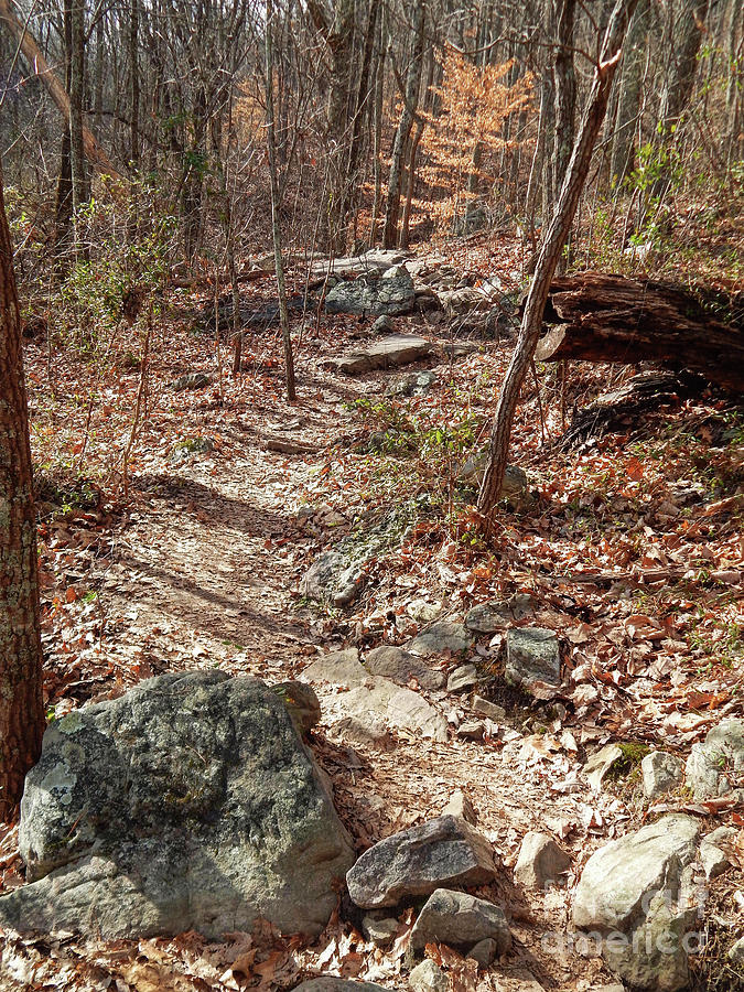House Mountain 13 Photograph by Phil Perkins House Mountain 13 Photograph by Phil Perkins