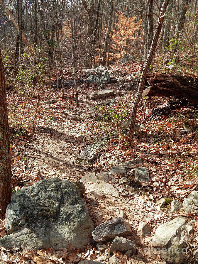 Knoxville Photograph - House Mountain 13 by Phil Perkins