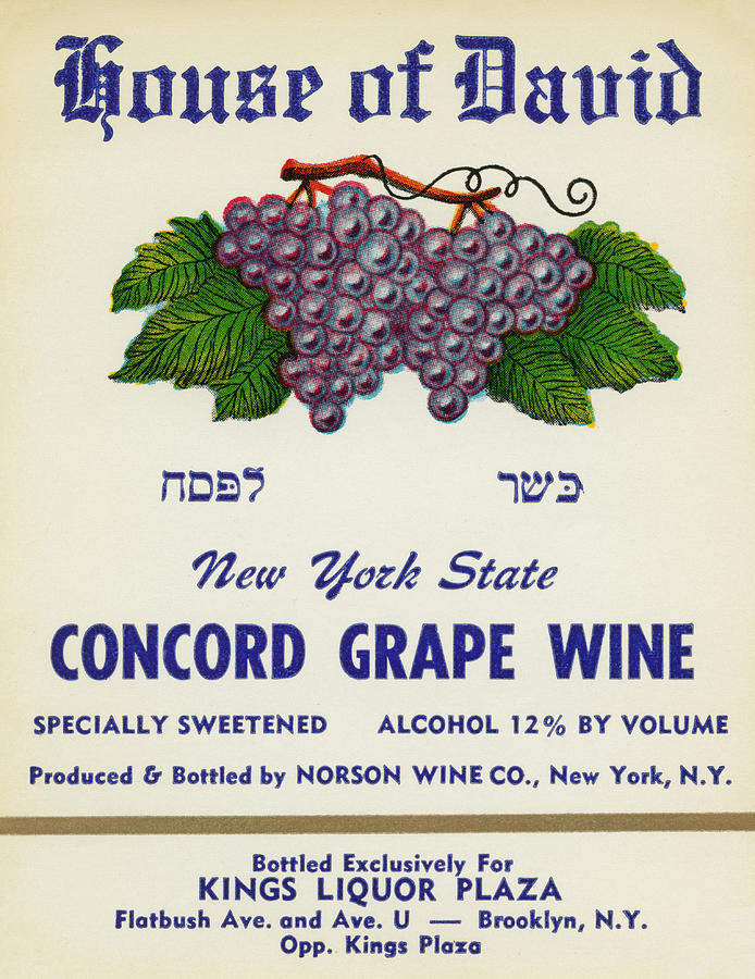House of David Concord Grape Wine Painting by Unknown