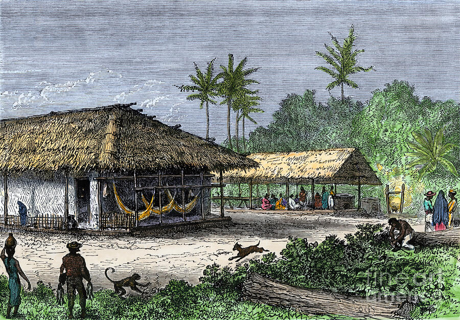 Jungle Drawing - House Of Indians In The Jungle Of Brazil (amazon) 1800 Approximately Native Houses In A Jungle Of Brazil, 1800s Hand-colored Woodcut Of A 19th-century Illustration by American School