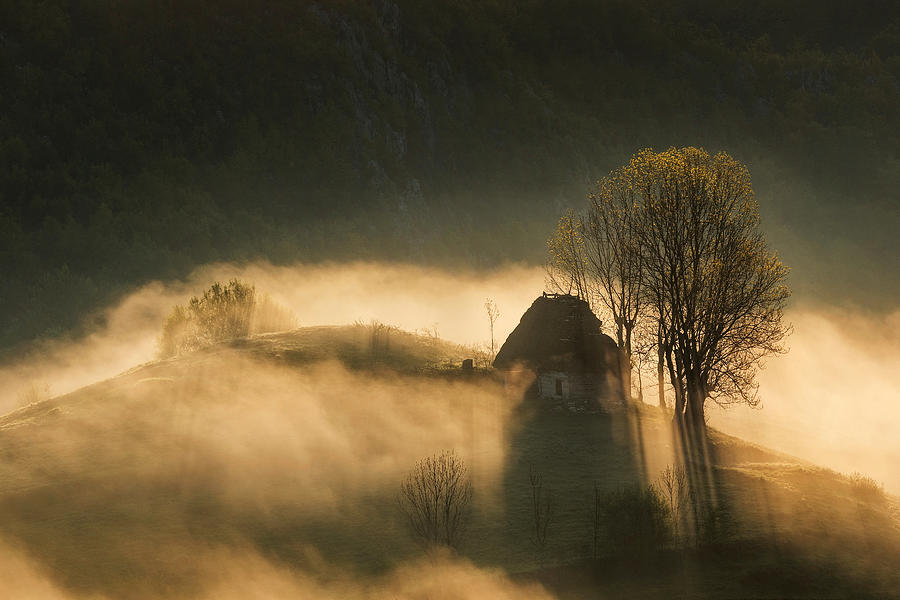 House Of The Rising Sun Photograph by Lazar Ioan Ovidiu