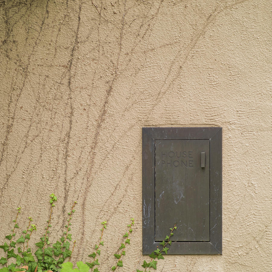 Vines Photograph - House Phone by Geoffrey Ansel Agrons