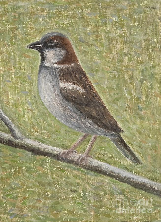 House Sparrow, 2008 Painting by Ruth Addinall