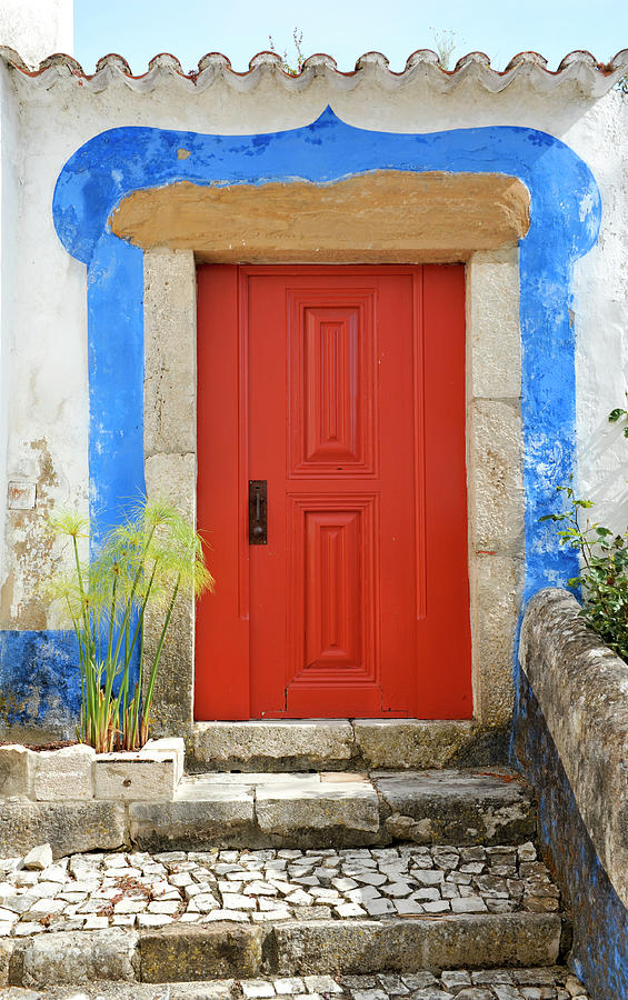House With Red Door Photograph by Brytta
