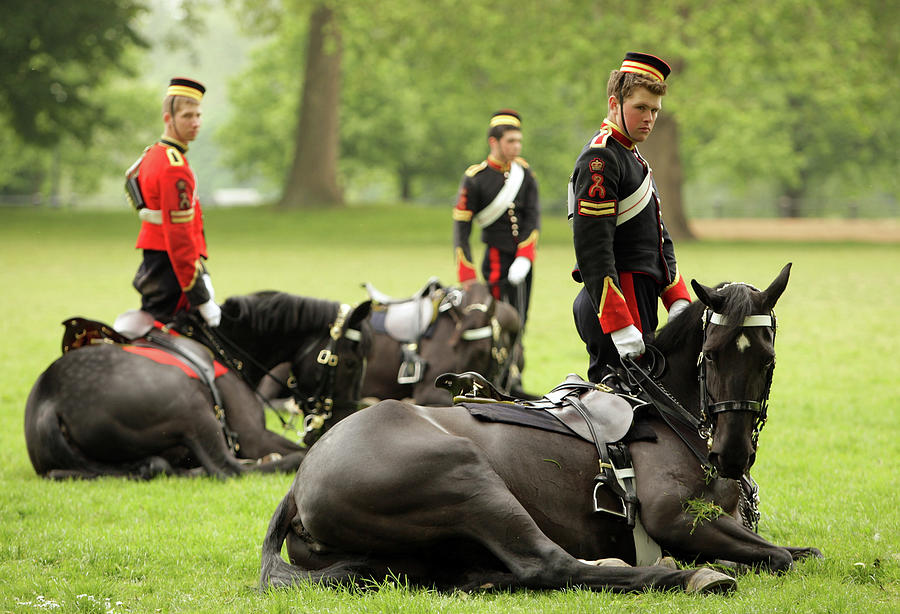 Household Cavalry Perform For Abu Dhabi Photograph by Oli Scarff
