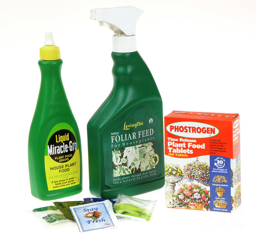 Houseplant Food Products Photograph by Public Health England/science Photo Library