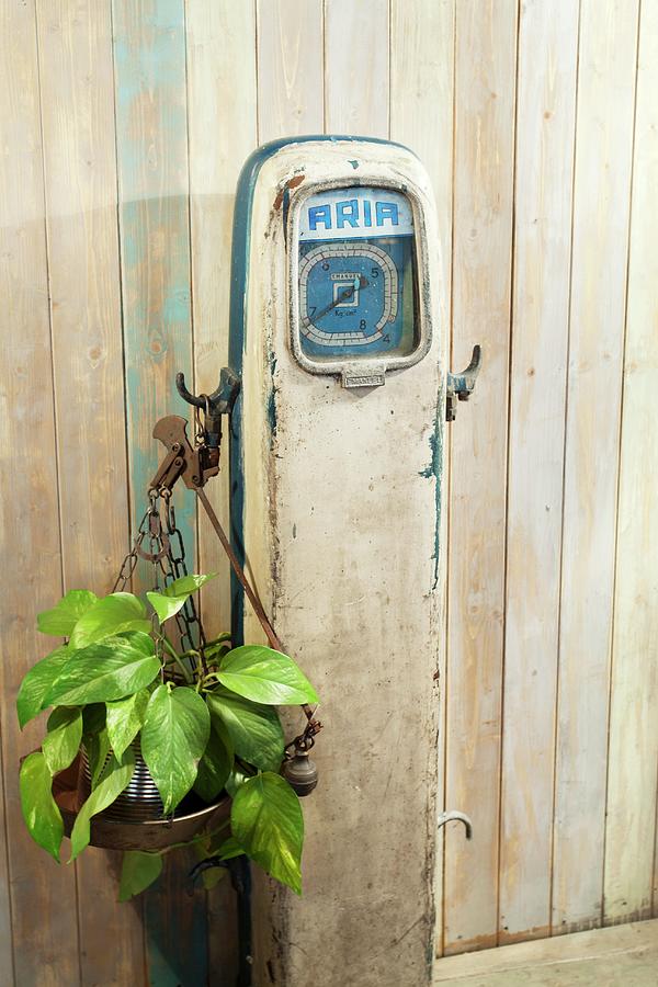 Houseplant Hanging From Old, Petrol-station Air Pump Against Simple Wooden Wall Photograph by Luxup