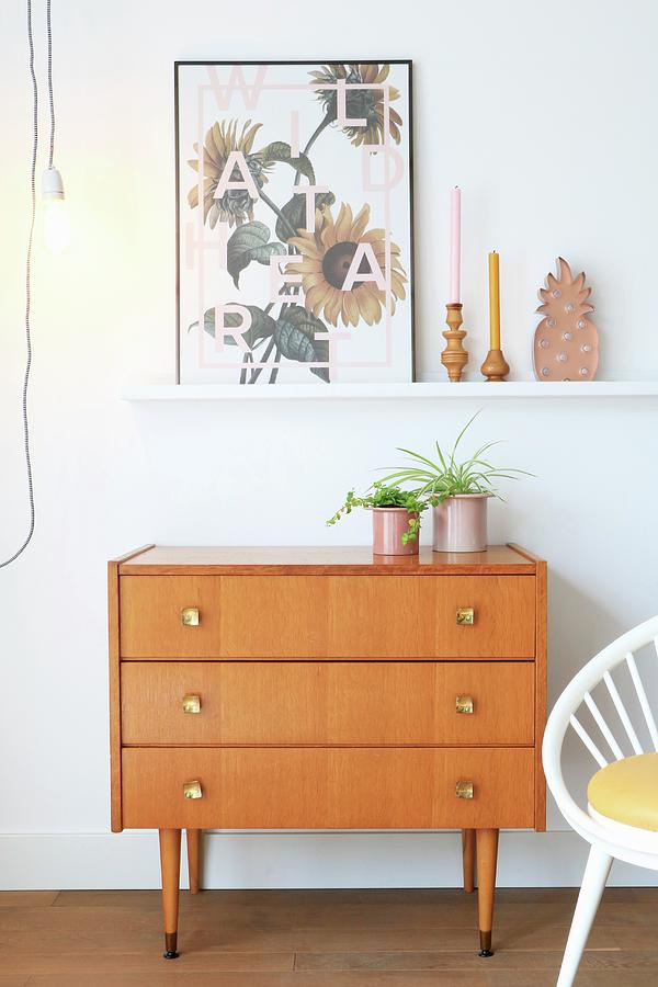 Houseplants In Pink Pots On 60s Chest Of Drawers Below Floral Picture On White, Wall-mounted Shelf Photograph by Marij Hessel