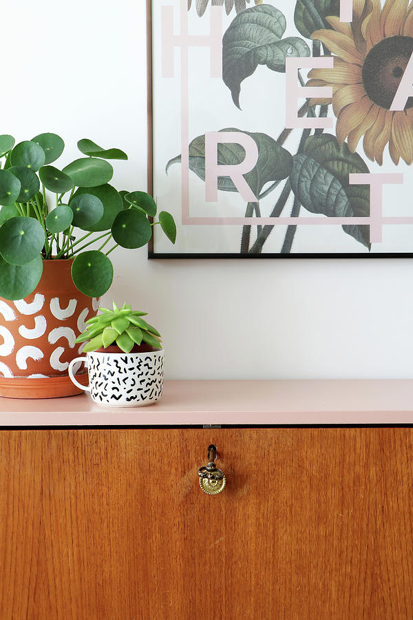 Houseplants On Retro Bureau Restored And Given Pink Top Photograph by Marij Hessel