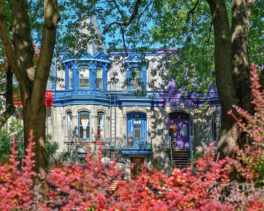 Houses in Montreal Le Plateau-Mont Royal Photograph by Delphimages Photo Creations