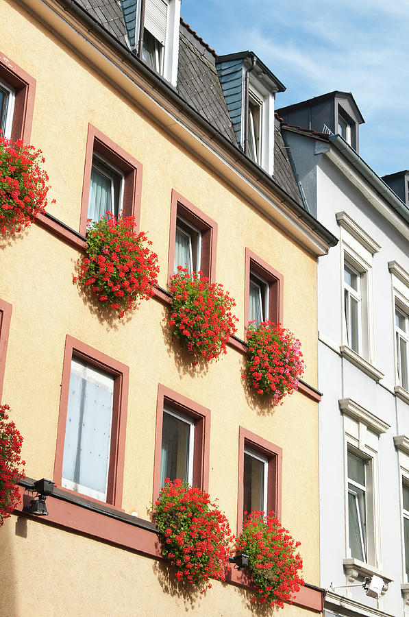 Houses In Old Town, Heidelberg, Germany Photograph by Danita Delimont Houses In Old Town, Heidelberg, Germany Photograph by Danita Delimont