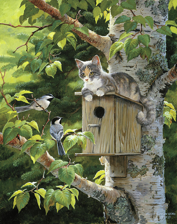 Chickadee Painting - Housesitting by Wild Wings