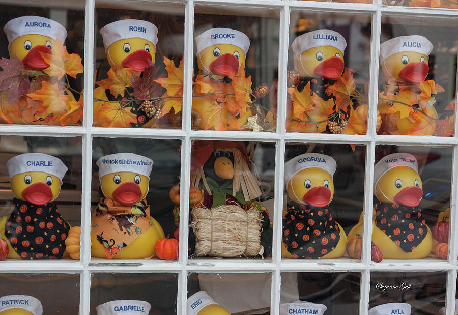 How Much is That Ducky in the Window Photograph by Suzanne Gaff